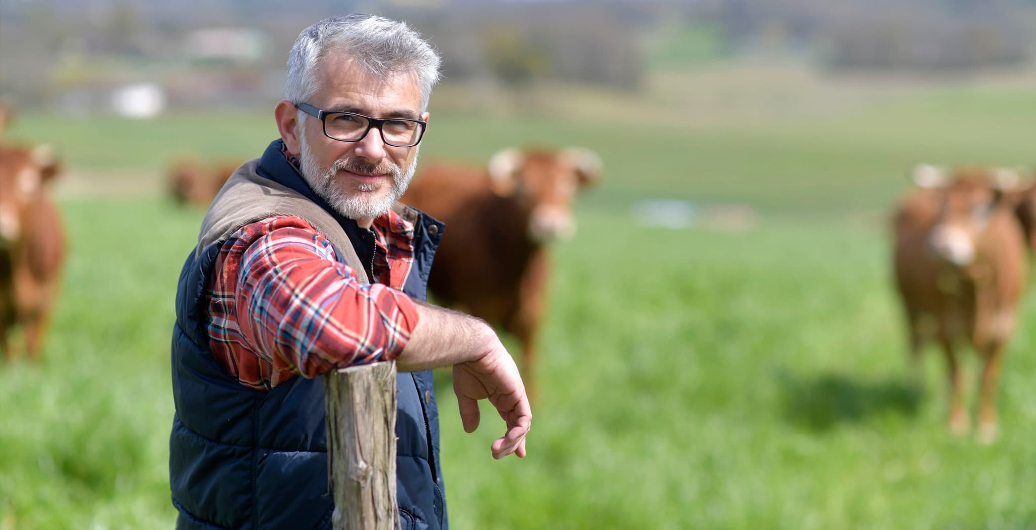 Dementia and Behaviours