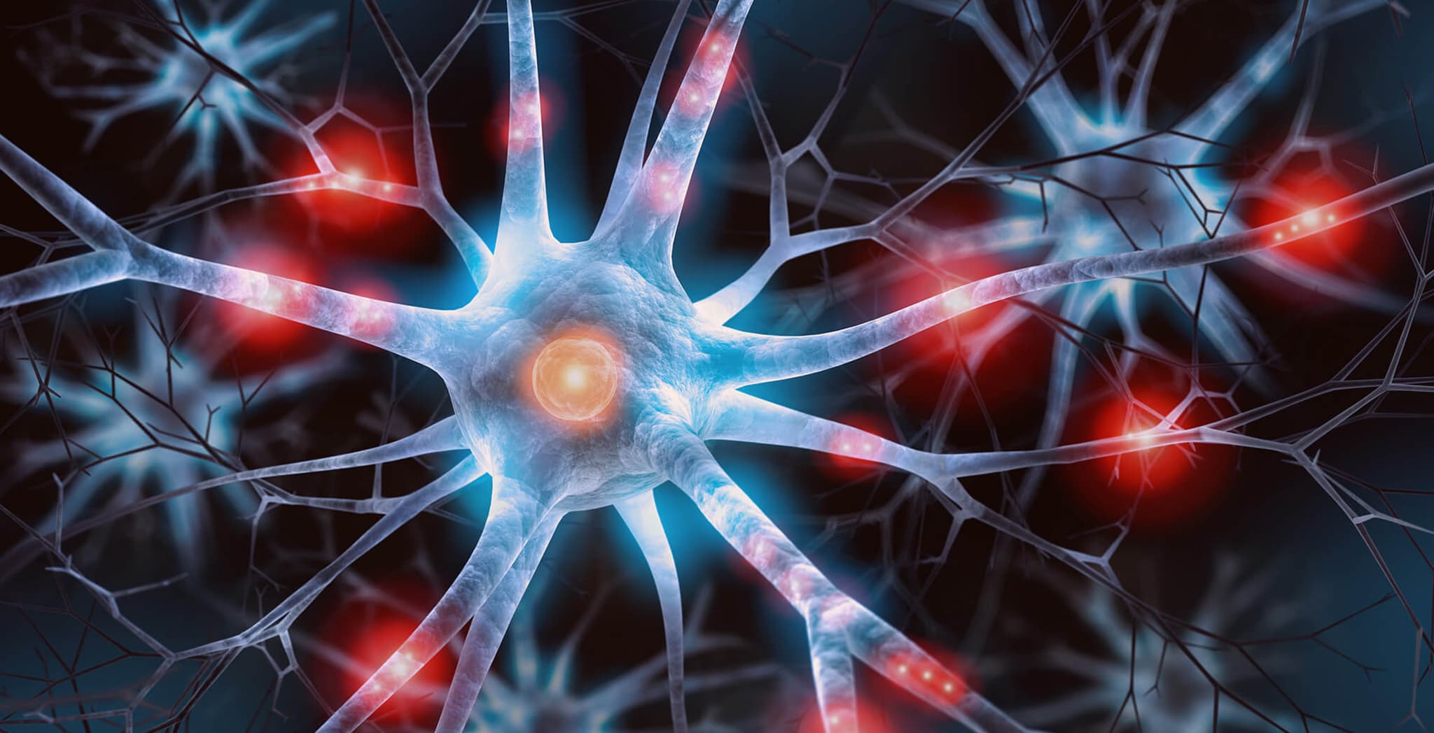 What is Dementia | Mate Wareware?